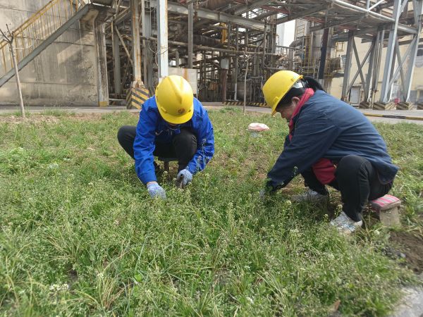 3月22日，行政保衛(wèi)部馬師傅和孫師傅在道路兩旁清除雜草。.jpg