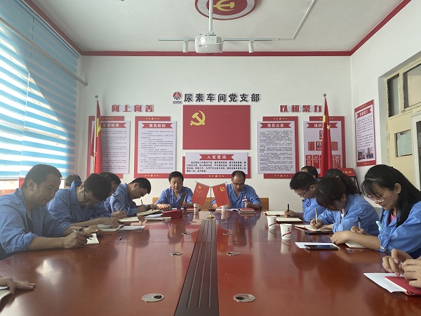 6月19日下午，尿素車間黨支部與法律審計部黨支部開展結(jié)對共建活動2.jpg