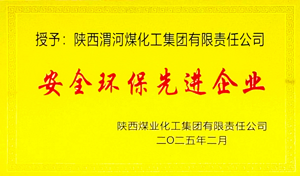 安全環(huán)保先進(jìn)企業(yè)獎牌.JPG
